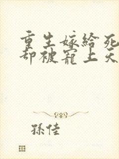 重生嫁给死对头却被宠上天