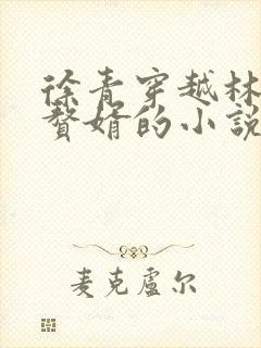 徐青穿越林家当赘婿的小说