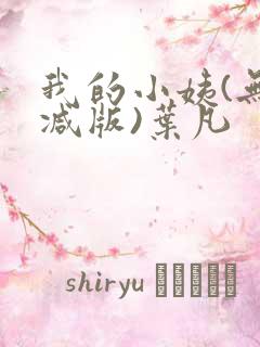 我的小姨(无删减版)叶凡