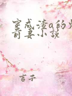 穿成渣a的炮灰前妻小说