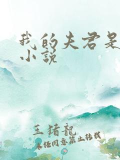 我的夫君是冥王小说