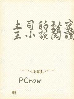 上司的秘密双男主小说阅读