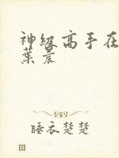 神级高手在都市叶晨