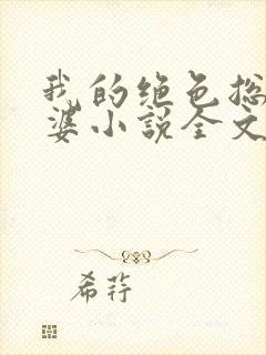 我的绝色总裁老婆小说全文免费阅读