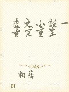 爽文小说一口气看完重生