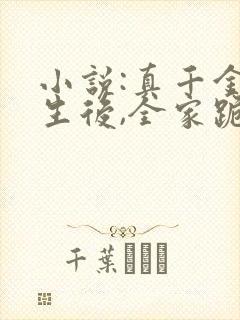 小说:真千金重生后,全家跪着求原谅