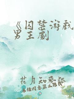 《囚禁游戏》双男主剧