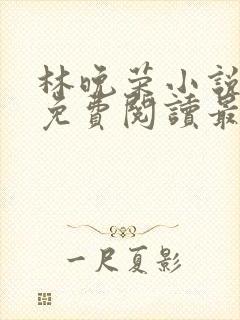 林晚荣小说全文免费阅读最新章节