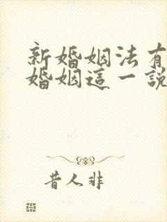 新婚姻法有事实婚姻这一说法吗