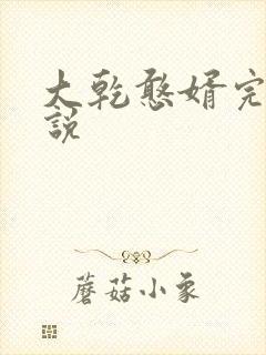 大乾憨婿完整小说