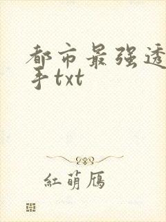 都市最强透视高手txt