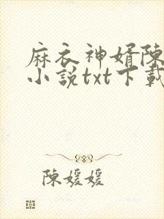 麻衣神婿陈黄皮小说txt下载
