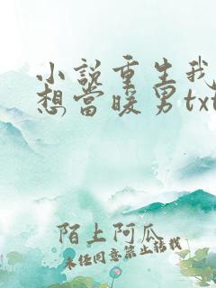 小说重生我真没想当暖男txt