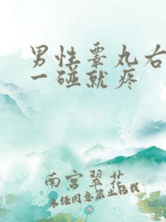 男性睾丸右边的一碰就疼