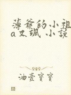 薄爷的小祖宗又a又飒 小说