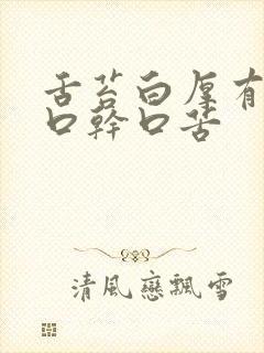 舌苔白厚有齿痕口干口苦