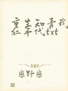 重生知青我的火红年代txt
