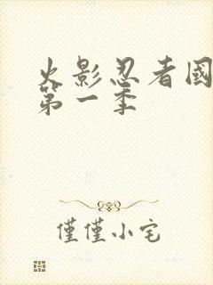 火影忍者国语版第一季