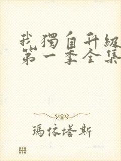 我独自升级动漫第一季全集免费观看