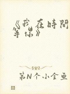 《我在时间尽头等你》