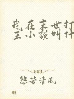 我在末世打脸女主小说叫什么