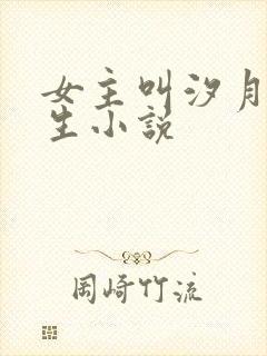 女主叫汐月的重生小说