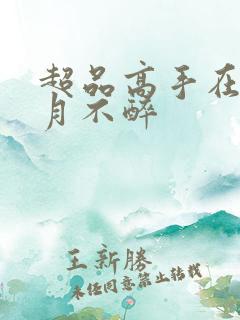 超品高手在都市月不醉