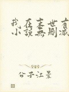 我在末世有套房小说无删减