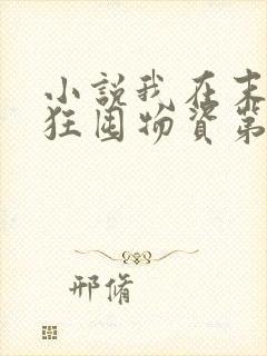 小说我在末世疯狂囤物资第21章