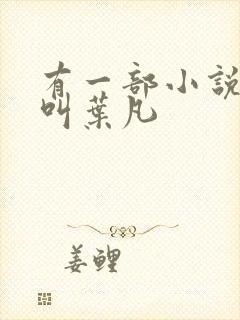 有一部小说主角叫叶凡