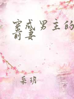 穿成男主的炮灰前妻