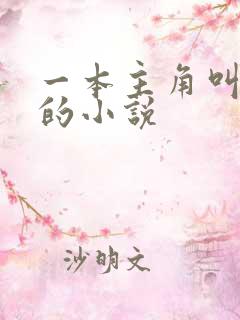 一本主角叫林萧的小说