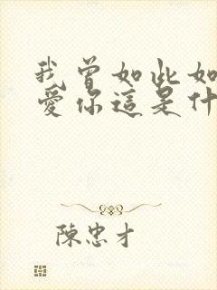 我曾如此如此的爱你这是什么歌词