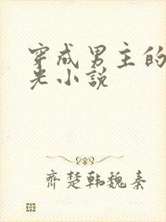 穿成男主的白月光小说