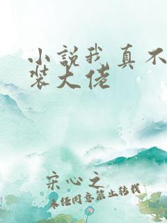 小说我真不是女装大佬