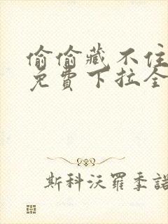 偷偷藏不住漫画免费下拉全集