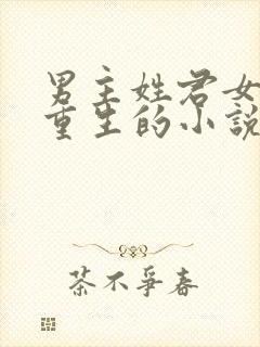 男主姓君女主是重生的小说