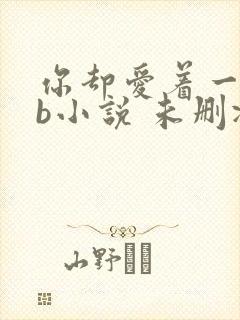 你却爱着一个sb小说 未删减完整版百度云