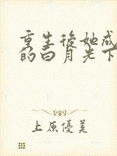 重生后她成皇帝的白月光下载