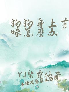 狗狗身上有尿骚味怎么办