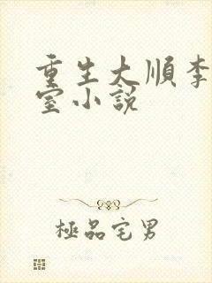 重生大顺李唐宗室小说