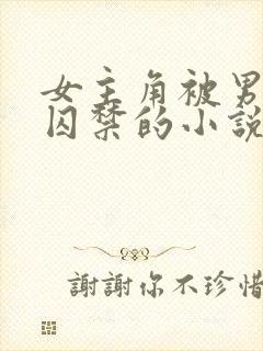 女主角被男主角囚禁的小说