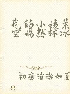 我的小姨叶凡司空嫣然林冰
