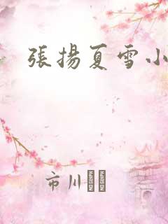 张扬夏雪小说