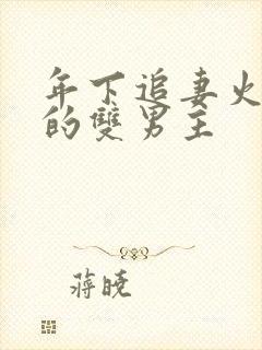 年下追妻火葬场的双男主