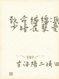 致命缠绵:与冷少暗夜孽爱