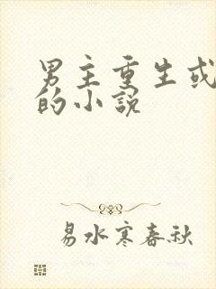 男主重生或穿越的小说