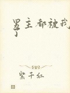 男主都被我艹坏了