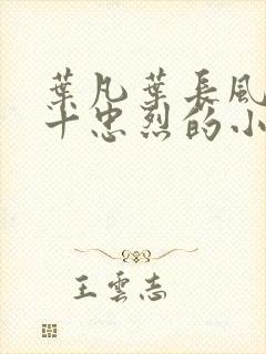 叶凡叶长风一门十忠烈的小说