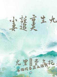 小说重生九零辣妻追夫